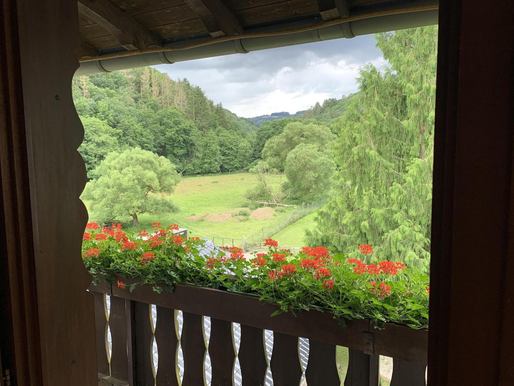 Hotel Forsthaus Volkesfeld Rom bilde